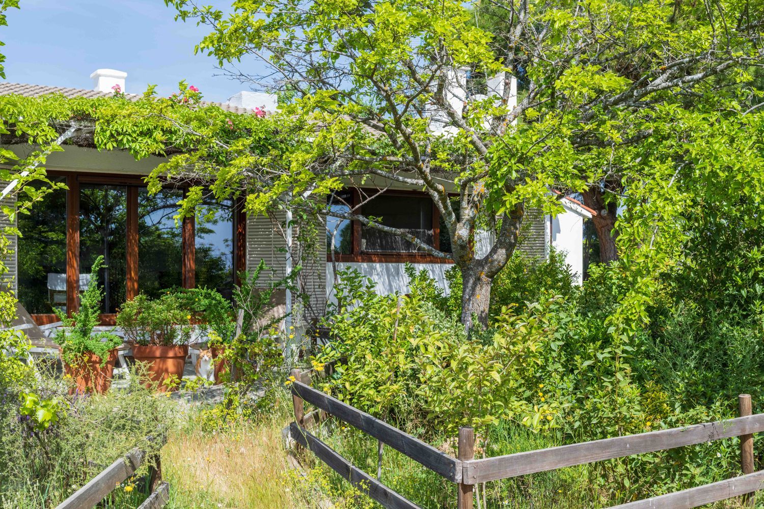 Casa rural en Camino de los Molinos s/n - Foto 39