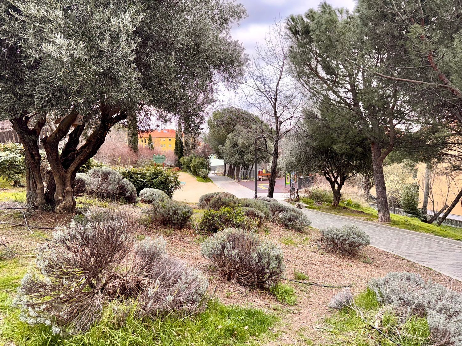 Piso en Zaburdón - Monte Escorial - Foto 20