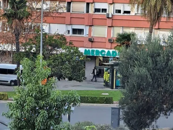 Piso en Av Blasco Ibáñez, Ciutat Jardí - Foto 22