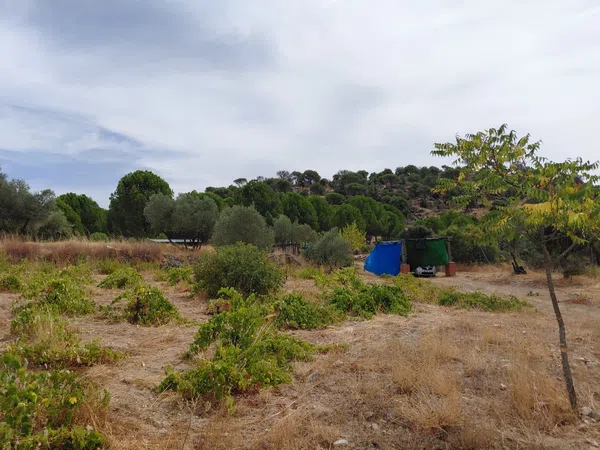 Finca rústica en Viñalajara, 8 poligonoparcela - Foto 9