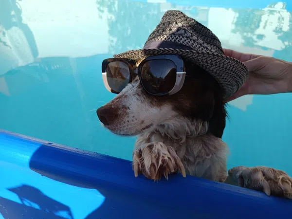 Casa independiente en calle de la Roca, 22 - Foto 28