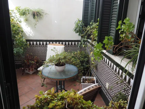 Casa o chalet independiente en Calle Manuel Calvo Leal, 12, El Arenal - La Pólvora - Foto 24