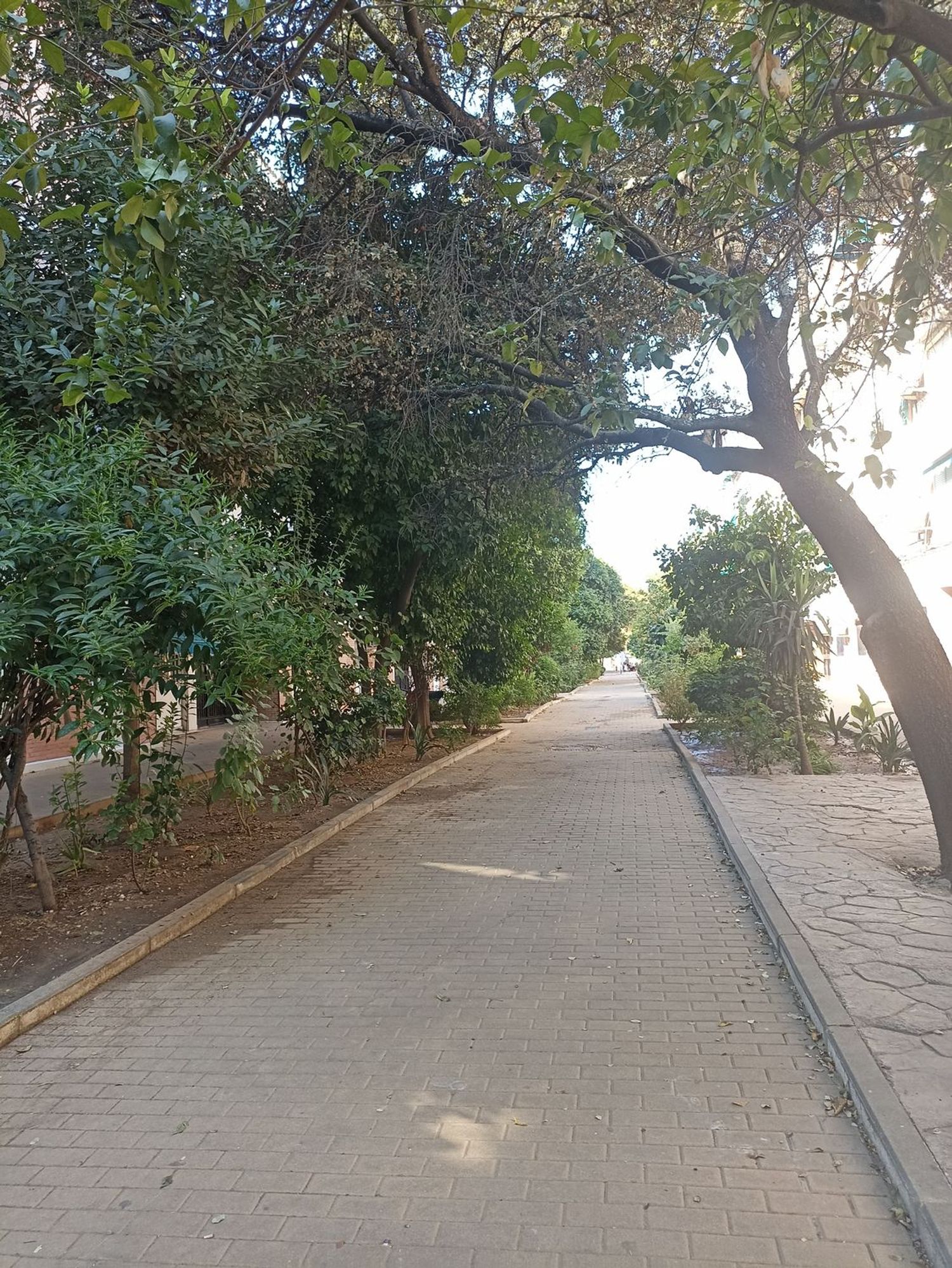 Piso en Pasaje Bujalance, 12, Sector sur - Santa Cruz - Foto 25