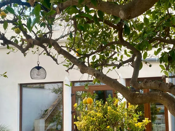 Chalet pareado en Calle Sant Vicenç Ferrer, 26, La Soledat - Foto 2