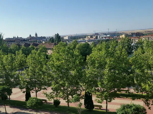 Piso en calle josé luis de celis, 2