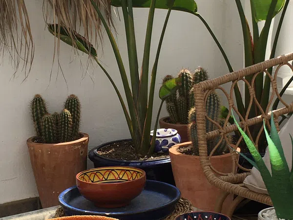 Chalet adosado en calle de l'Arquebisbe Company, 20 - Foto 27