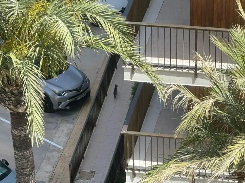 Piso en  Avenida de Niza 37 - Foto 6