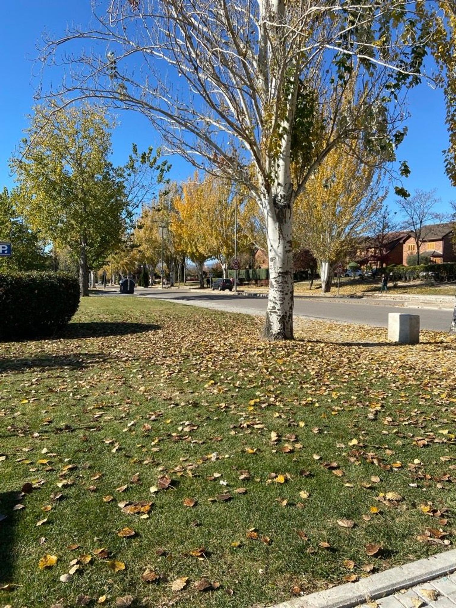 Piso en calle Ciudadela, 8 - Foto 5