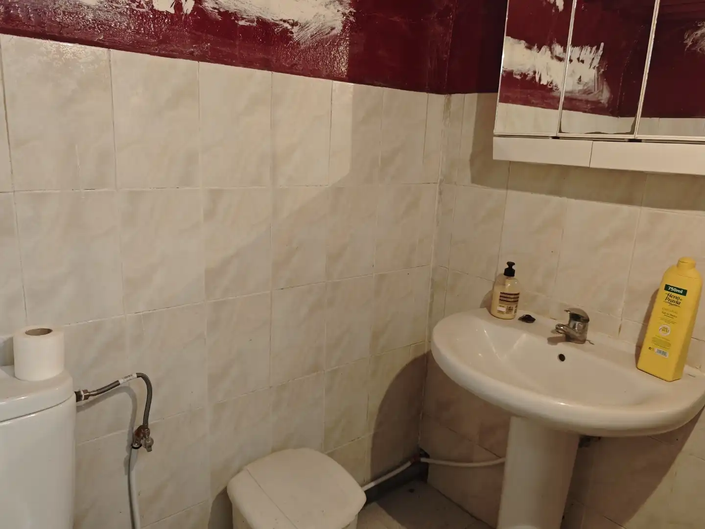 Piso en  Bulevar de el Ejido 21 - Foto 18