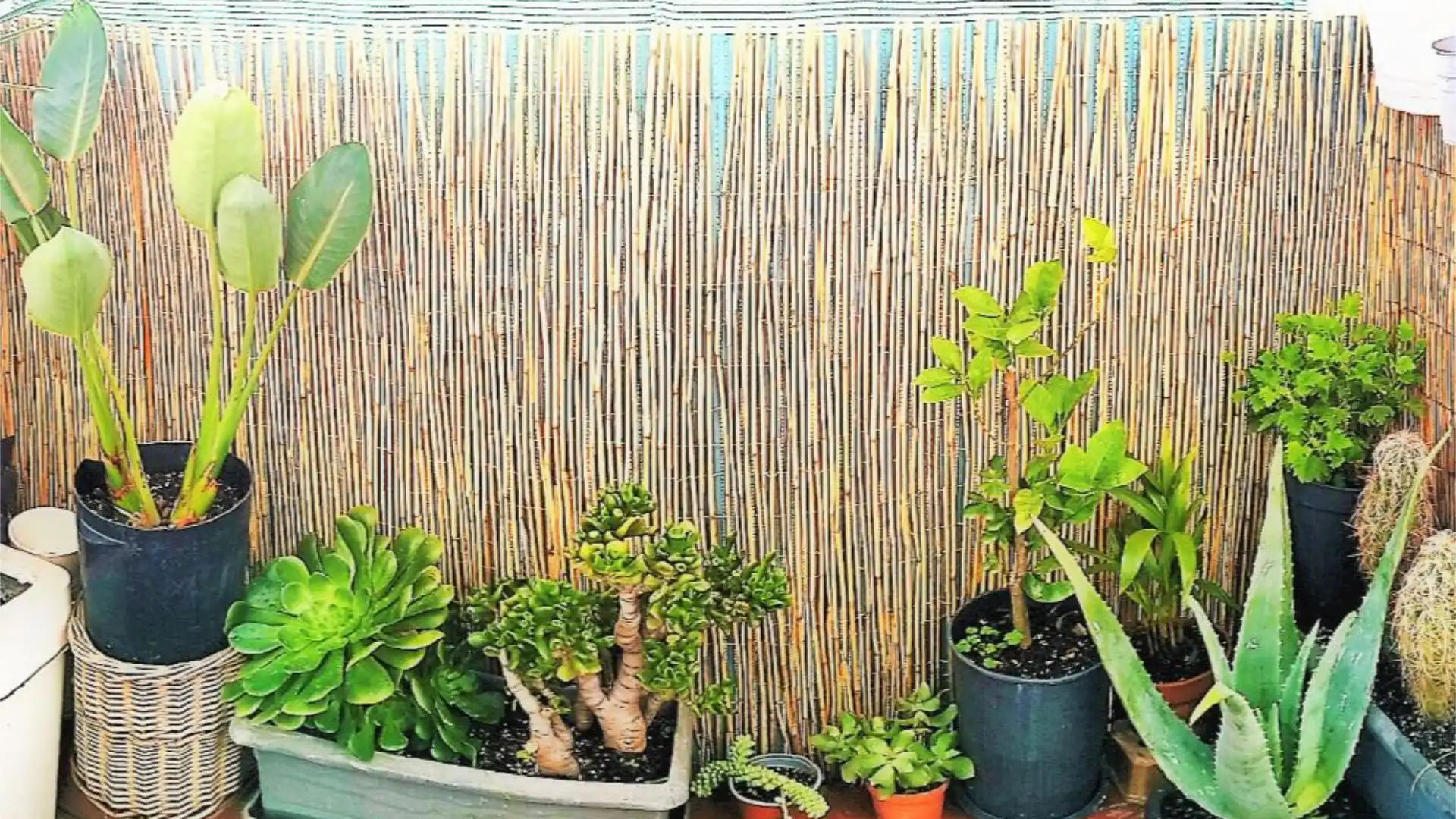 Piso en calle d'Ataülf 1 - Foto 9