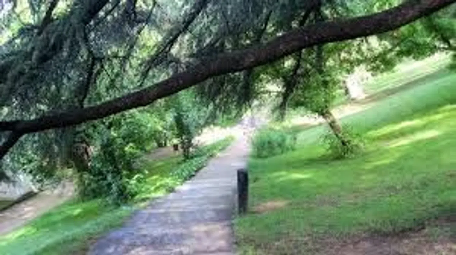 Piso en Barrio Argüelles - Foto 7