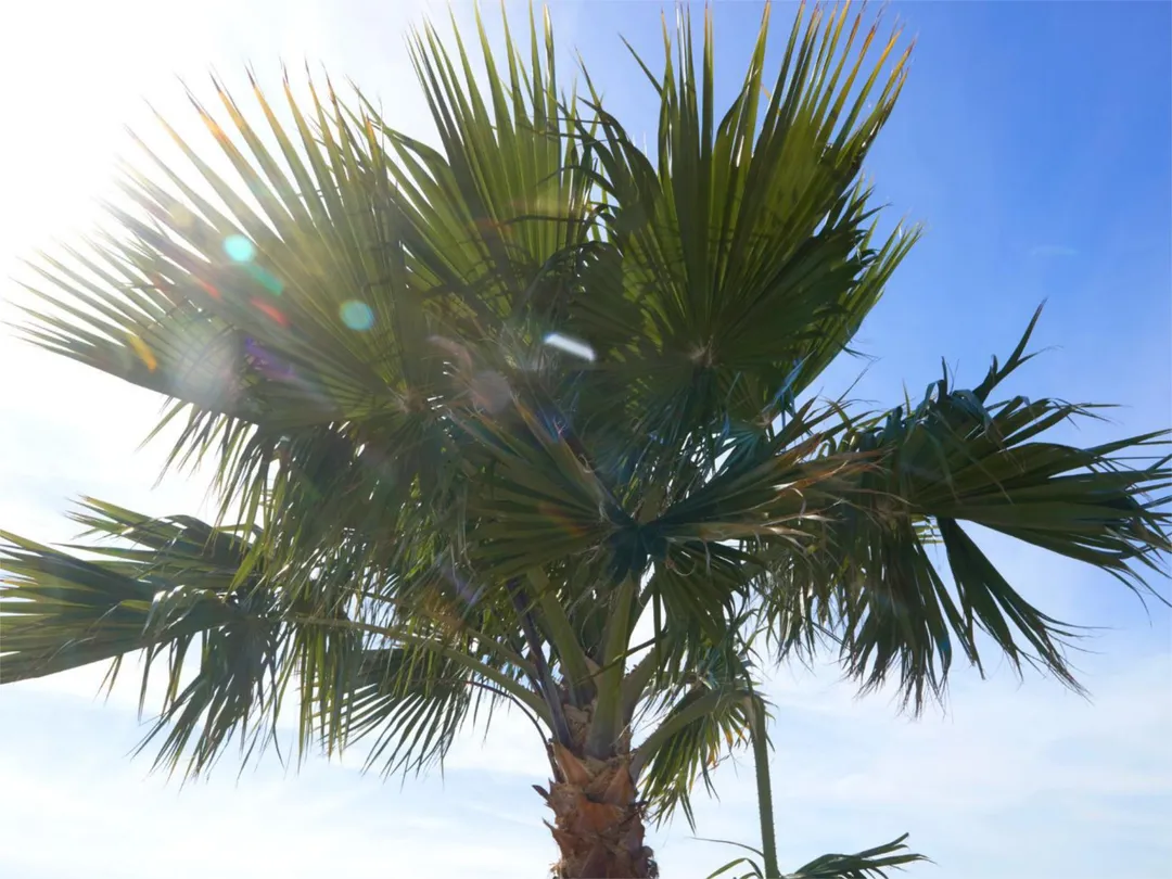 Chalet en  Partida Daimes 216 - Foto 66