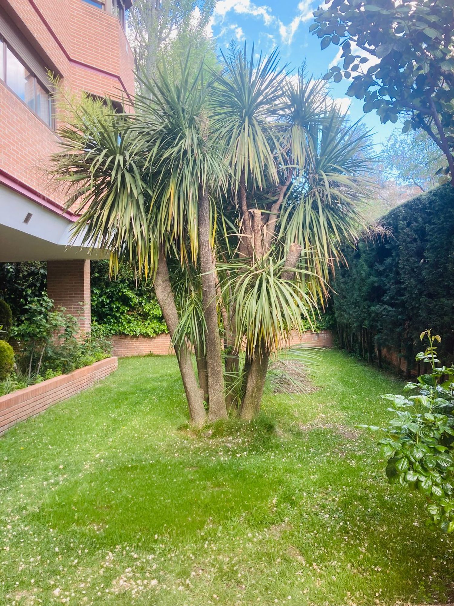 Piso en calle de Ramonet, 5 - Foto 15