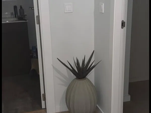 Estudio en calle del Poeta Josep Cervera i Grífol, 7 - Foto 4