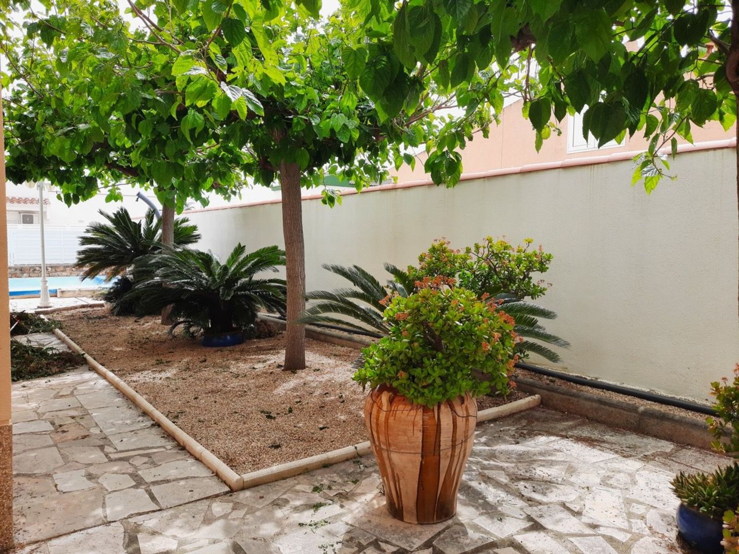 Casa o chalet independiente en Calle de L’Ordre de Sant Jordi, 34 - Foto 5
