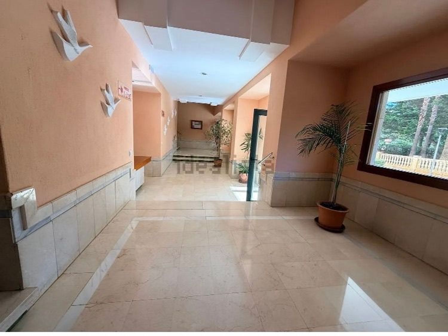 Piso en Avenida Marina Baixa, 1, Playa de Poniente, Playa de Poniente - Foto 2