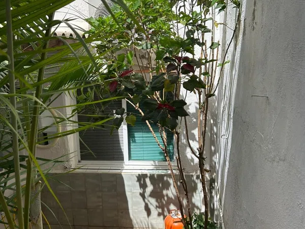 Casa o chalet independiente en El Verger - Foto 16