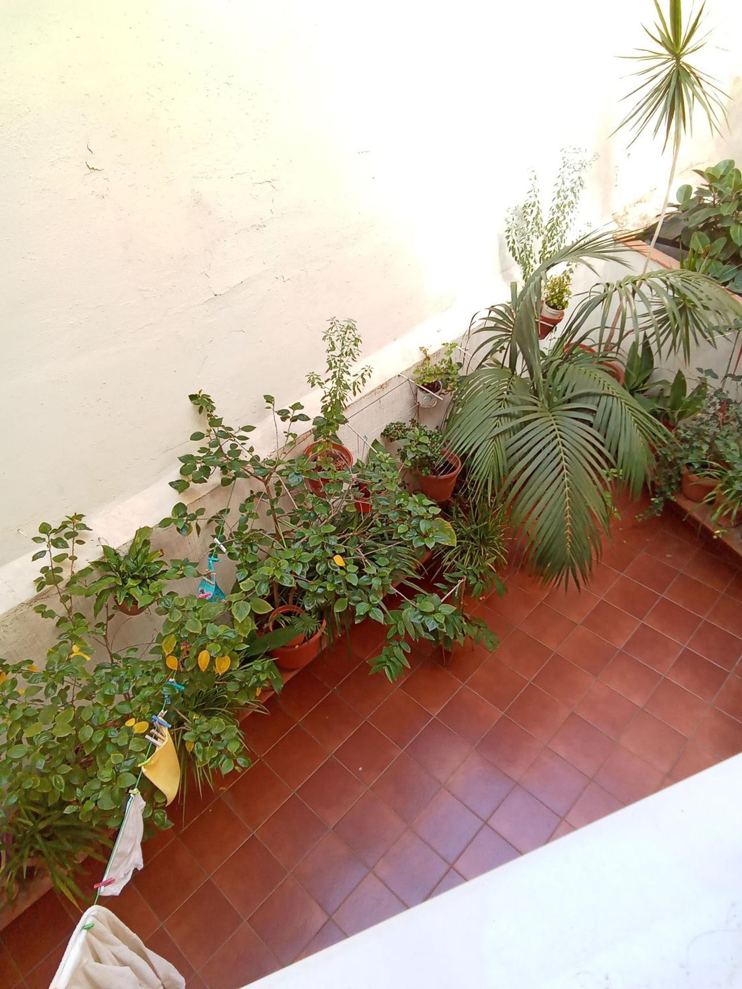 Piso en avenida del Masnou, 64 - Foto 10