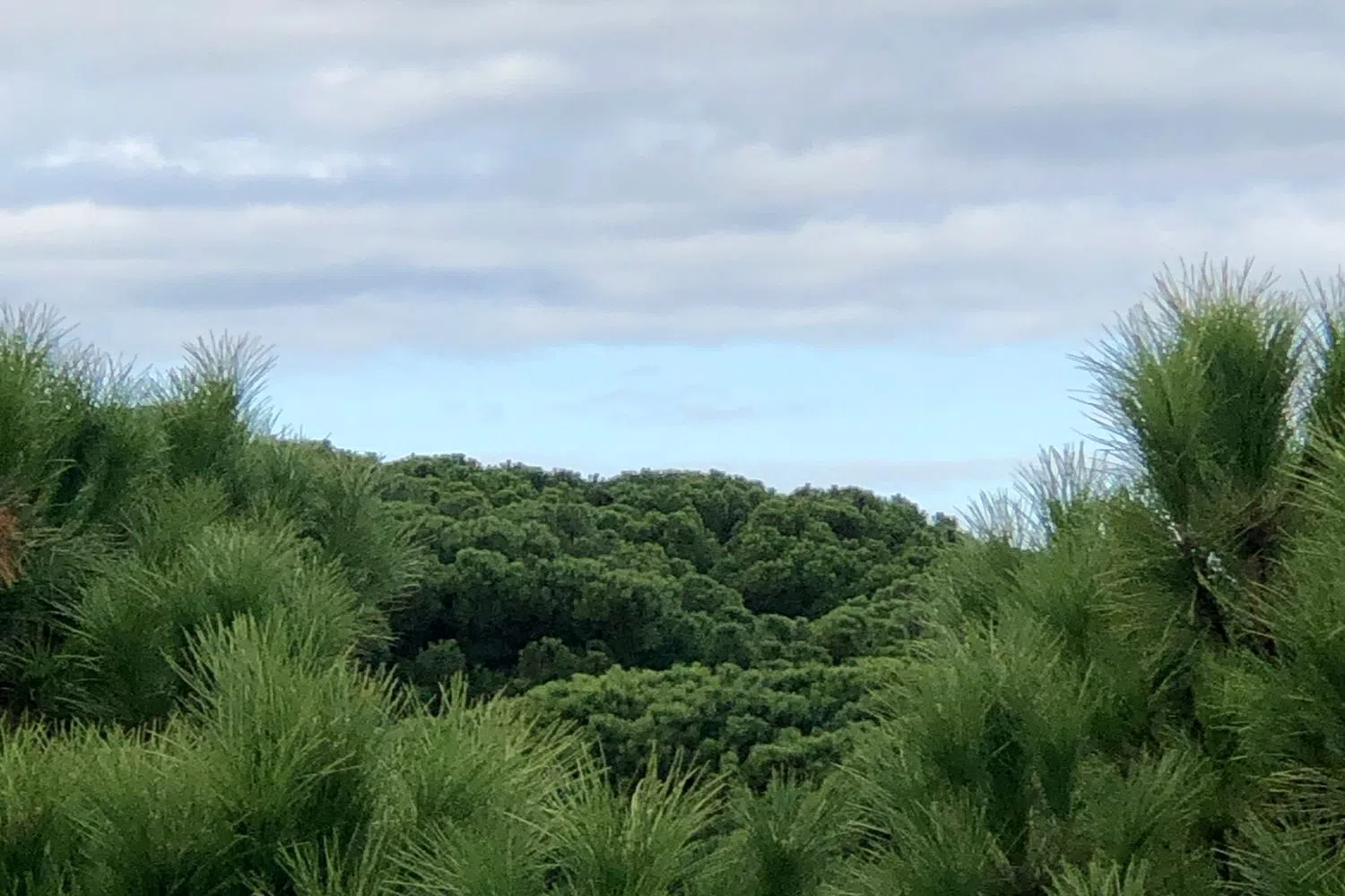 Ático en avenida de Portugal, 39 - Foto 25