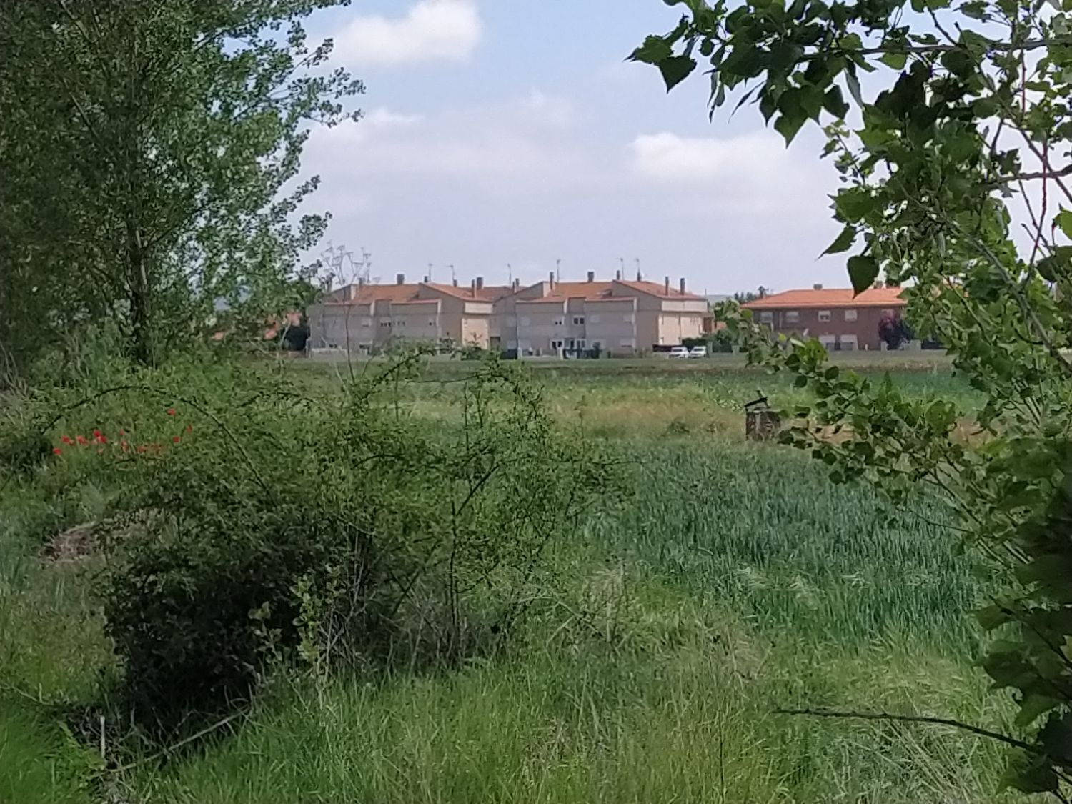 Chalet adosado en Urbanización los Rosales, 4 - Foto 4