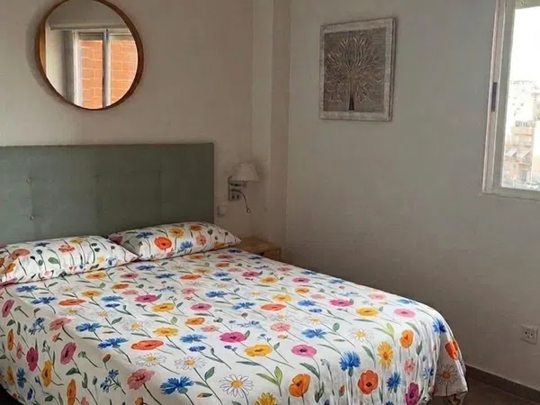 Piso en Calle Victoria Kent Siano, 24, El Palmeral-Urbanova-Tabarca - Foto 5