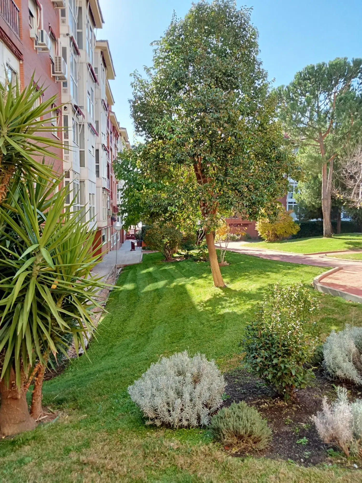 Piso en calle de Silvano, 146 - Foto 18