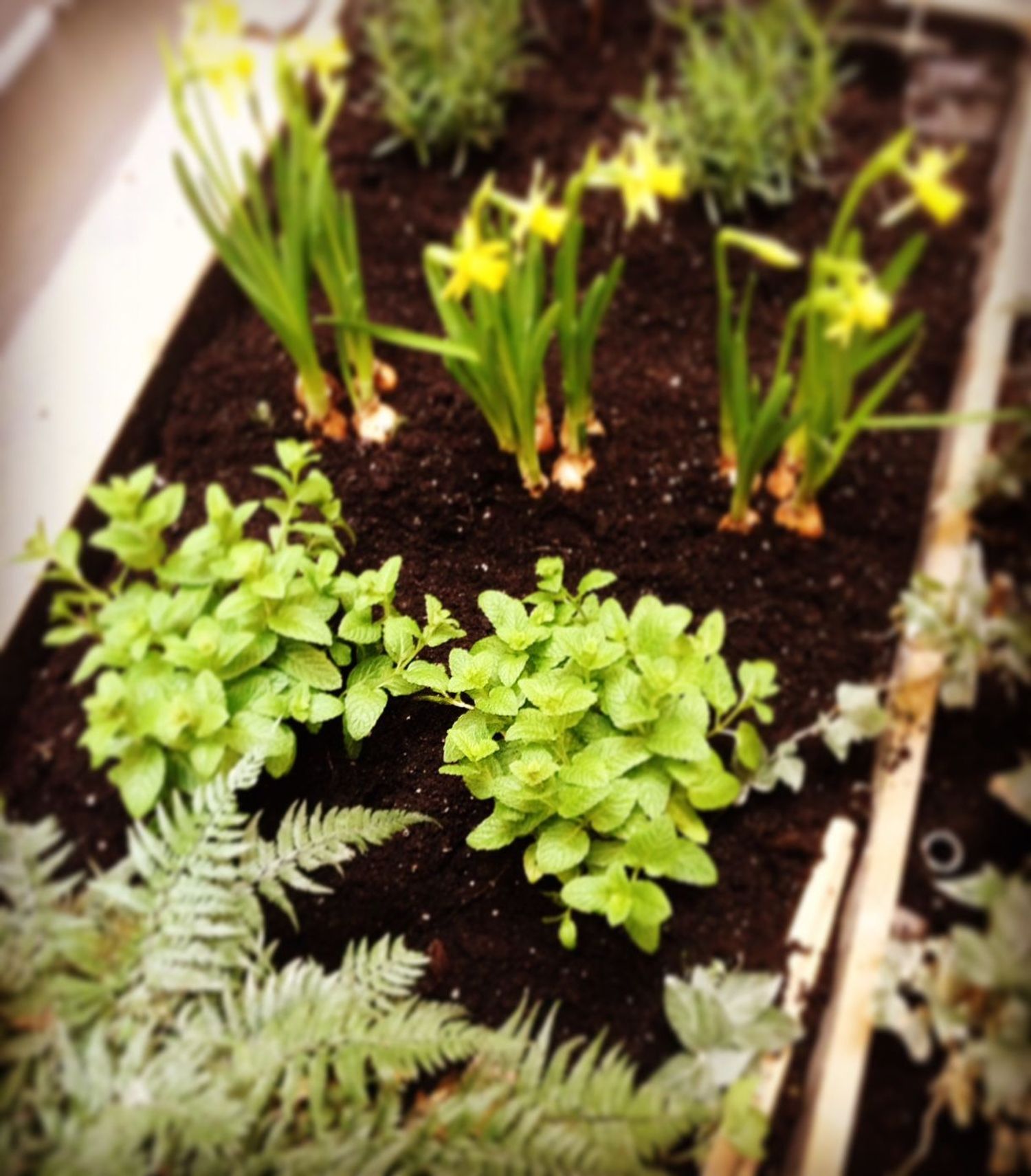 Piso en calle de San Raimundo, 61 - Foto 9