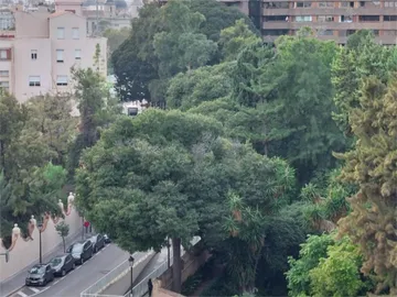 Piso en  Carrer de les Arts Gràfiques 5