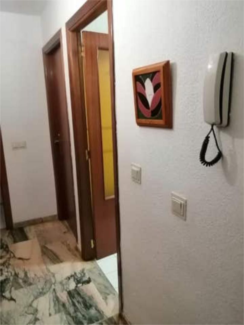 Apartamento en Centro - Foto 4