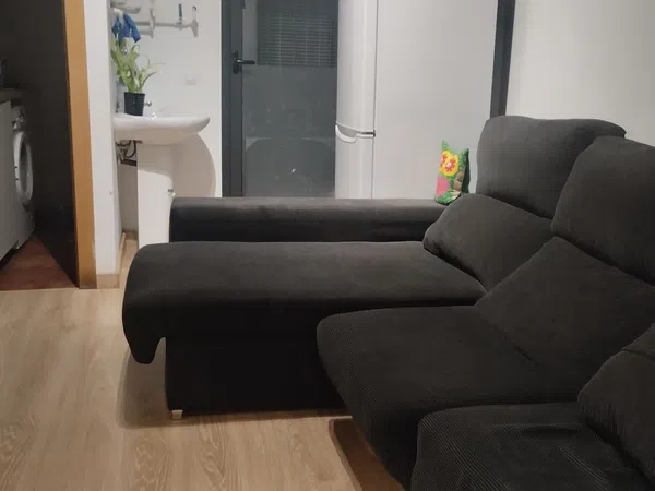 Estudio en flor de neu, 8016