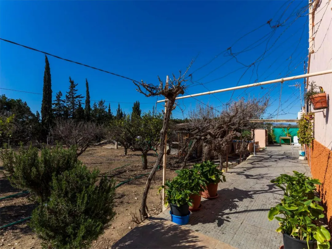 Finca rústica en  CV-865 45 - Foto 4