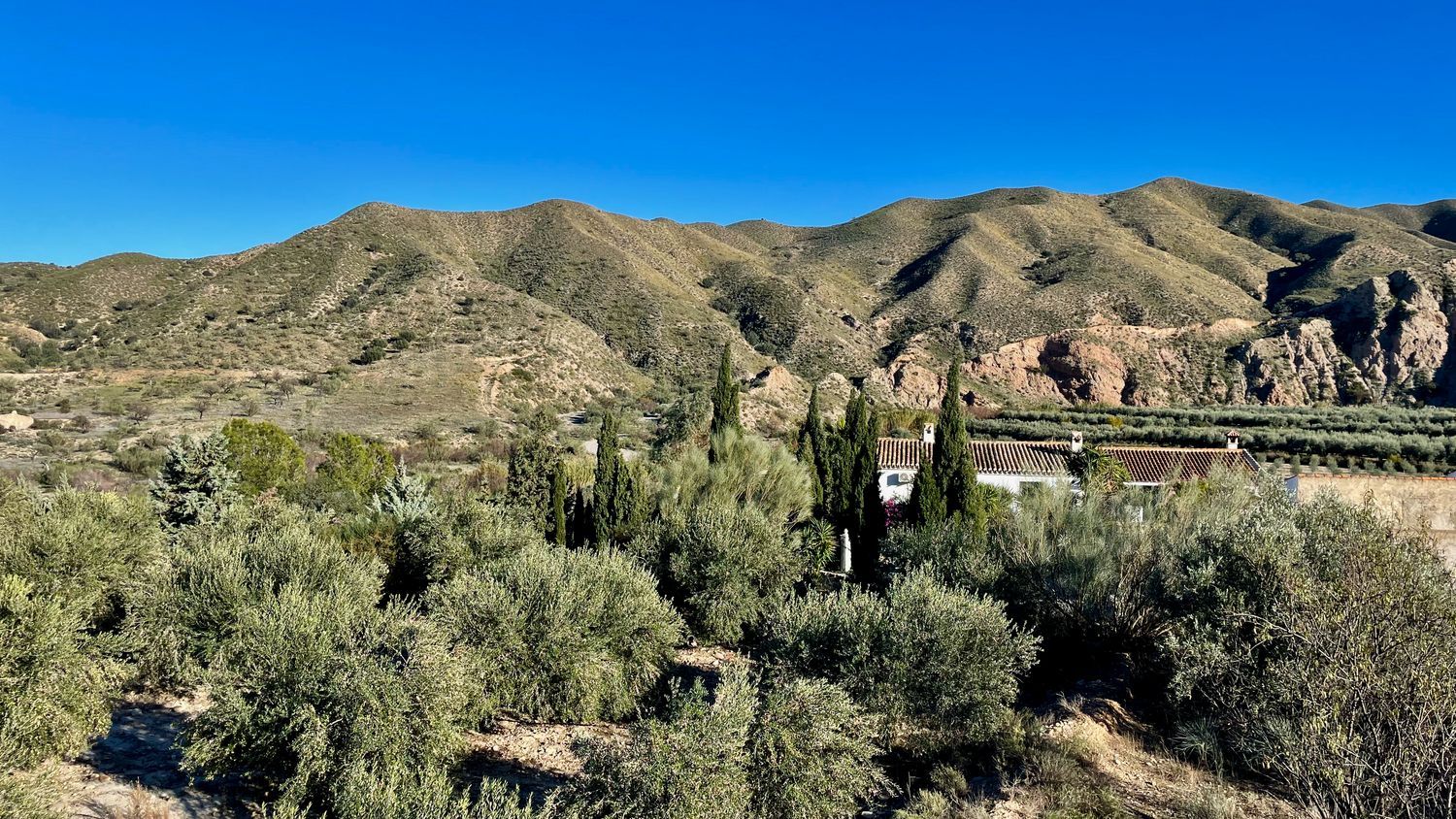 Cortijo en Calle Huerta de judas, 8 - Foto 6