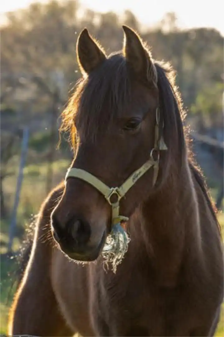 Chalet en Fuencarral - Foto 5