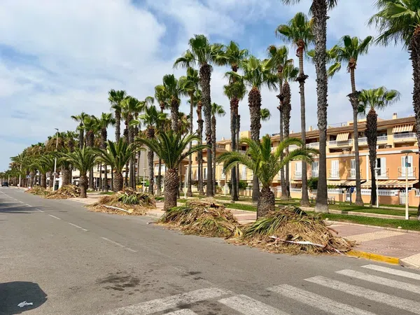 Piso en Calle Torrecaiguda, 11, Moncófar playa, Moncófar playa - Foto 23