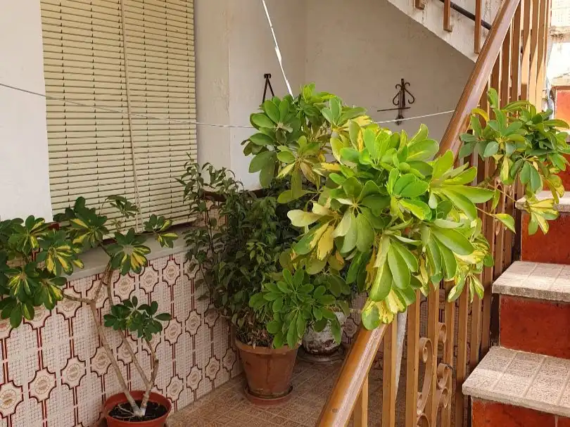 Chalet en  Avenida Santa María del Reposo 47 - Foto 4