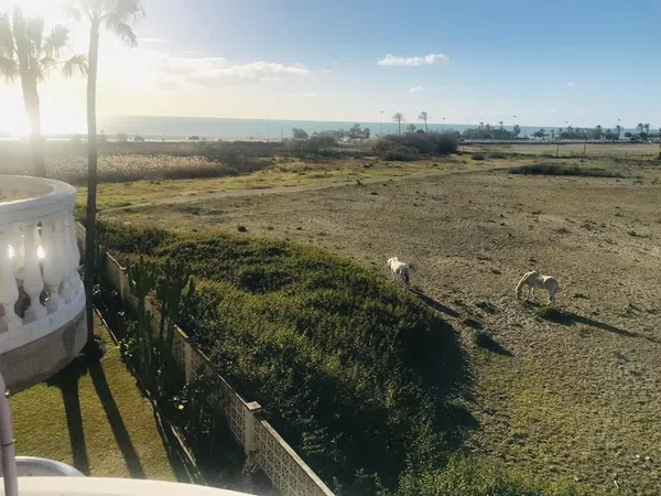 Estudio en camino De la Cizaña, 23