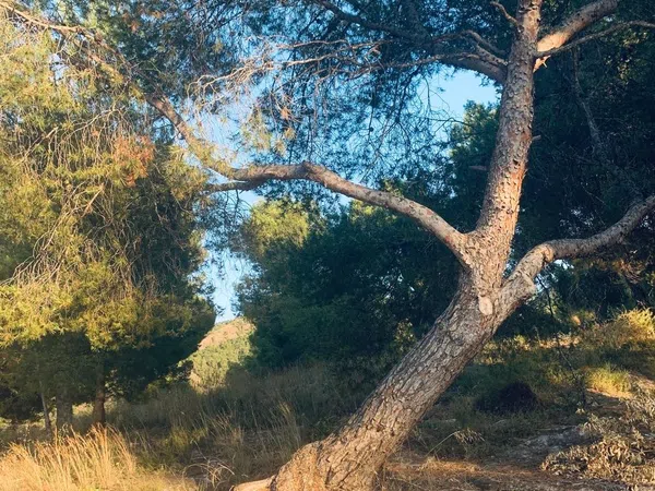 Piso en calle Olivos, 17 - Foto 25