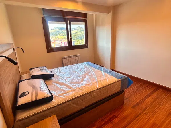 Piso en San Antolín auzoa, 7 - Foto 17