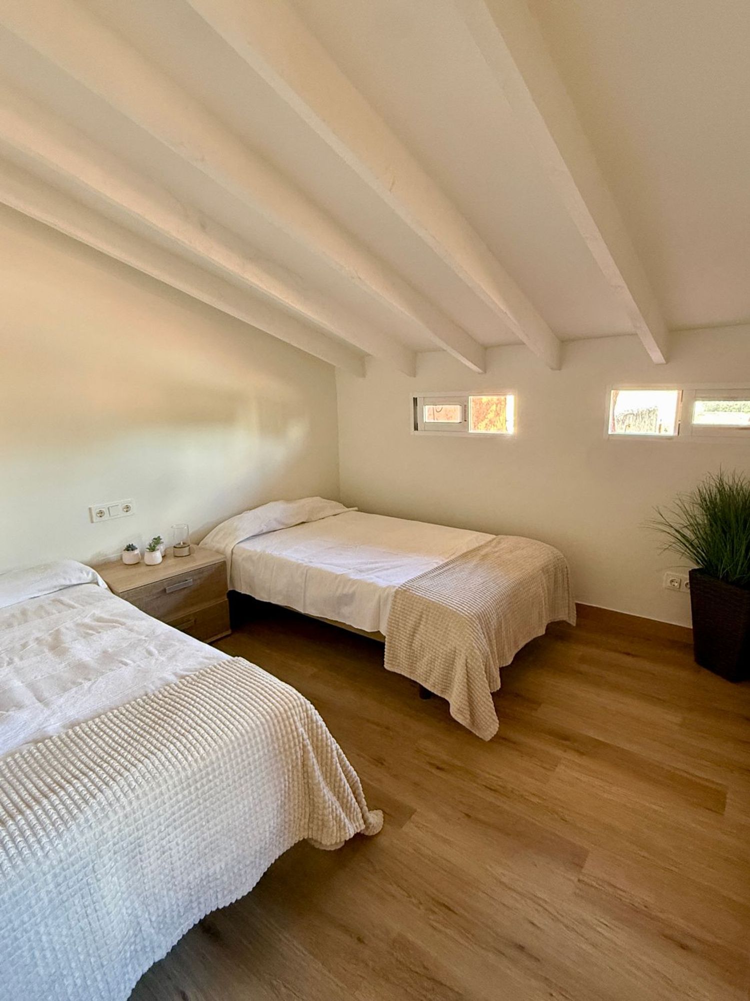 Casa o chalet independiente en Carretera Orilla del Azarbe, 56, Santa Cruz - Foto 7