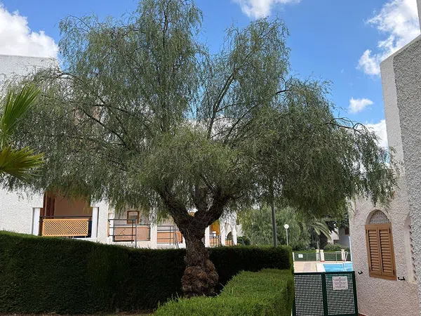 Chalet adosado en Urbanizacion el Alhamillo, 28, El Alamillo - Foto 4