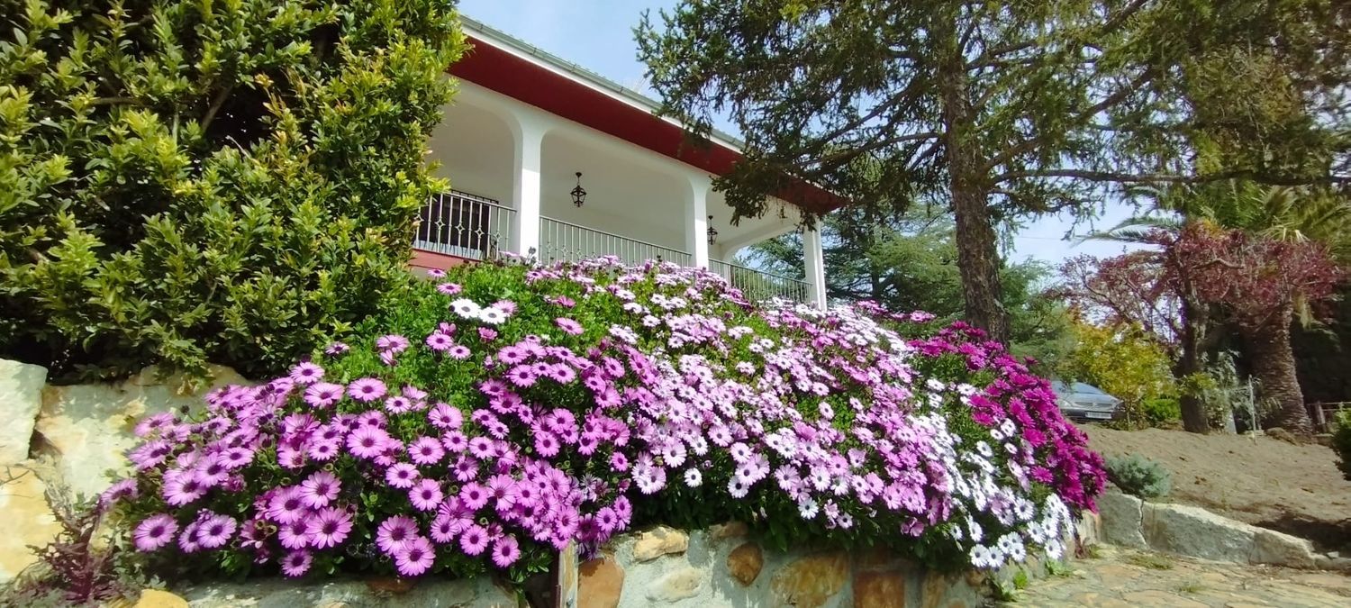 Casa o chalet independiente en Viñas de Valhondo, 10 - Foto 10