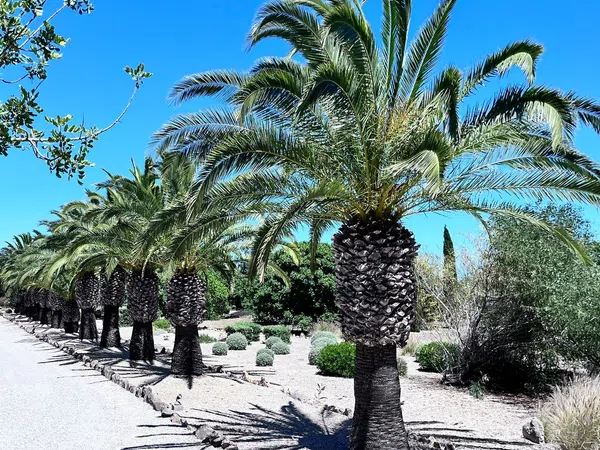 Finca rústica en Avenida de Cala Llombards, 31, Cala Llombards, Cala Llombards - Foto 36