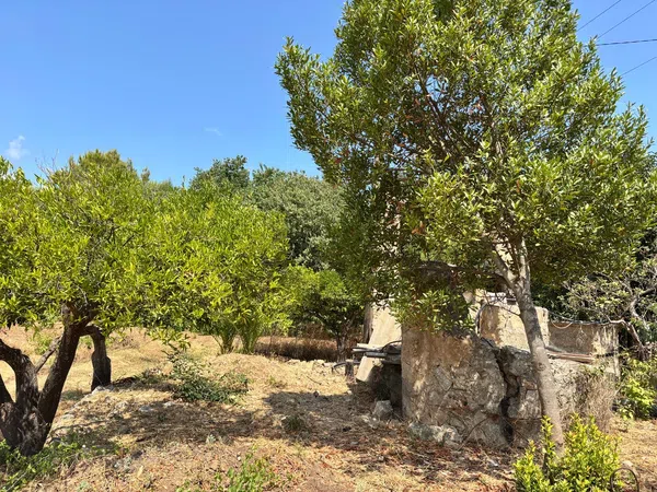 Finca rústica en Santuiri, 2 poligonoparcela, Pollença, Pollença - Foto 15