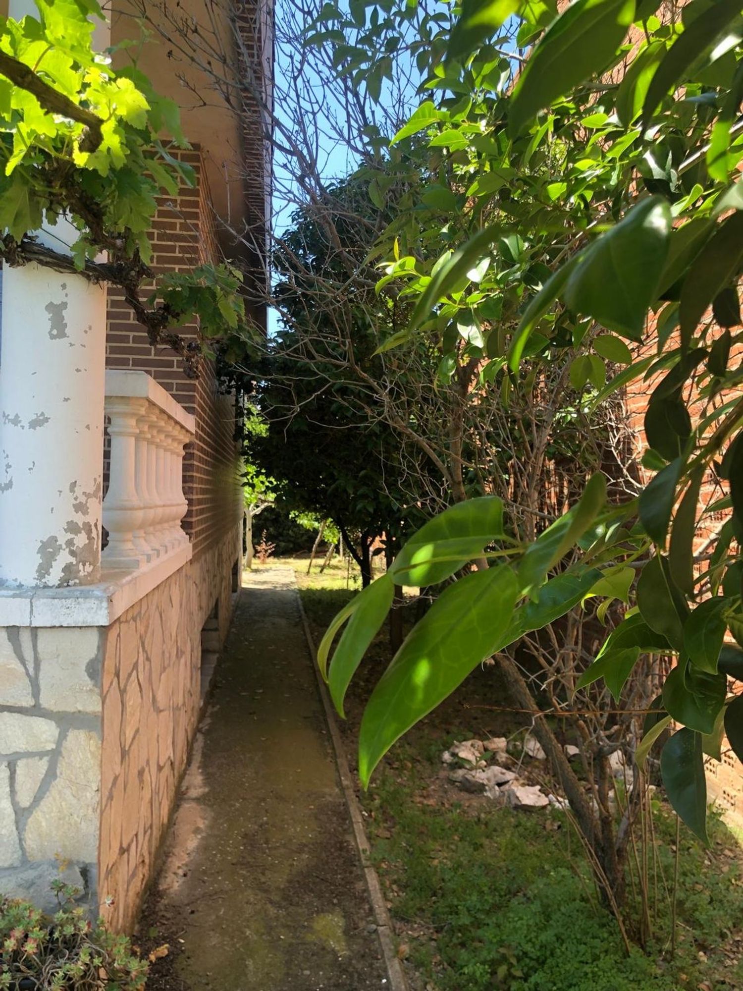 Casa o chalet independiente en Santovenia de Pisuerga - Foto 6