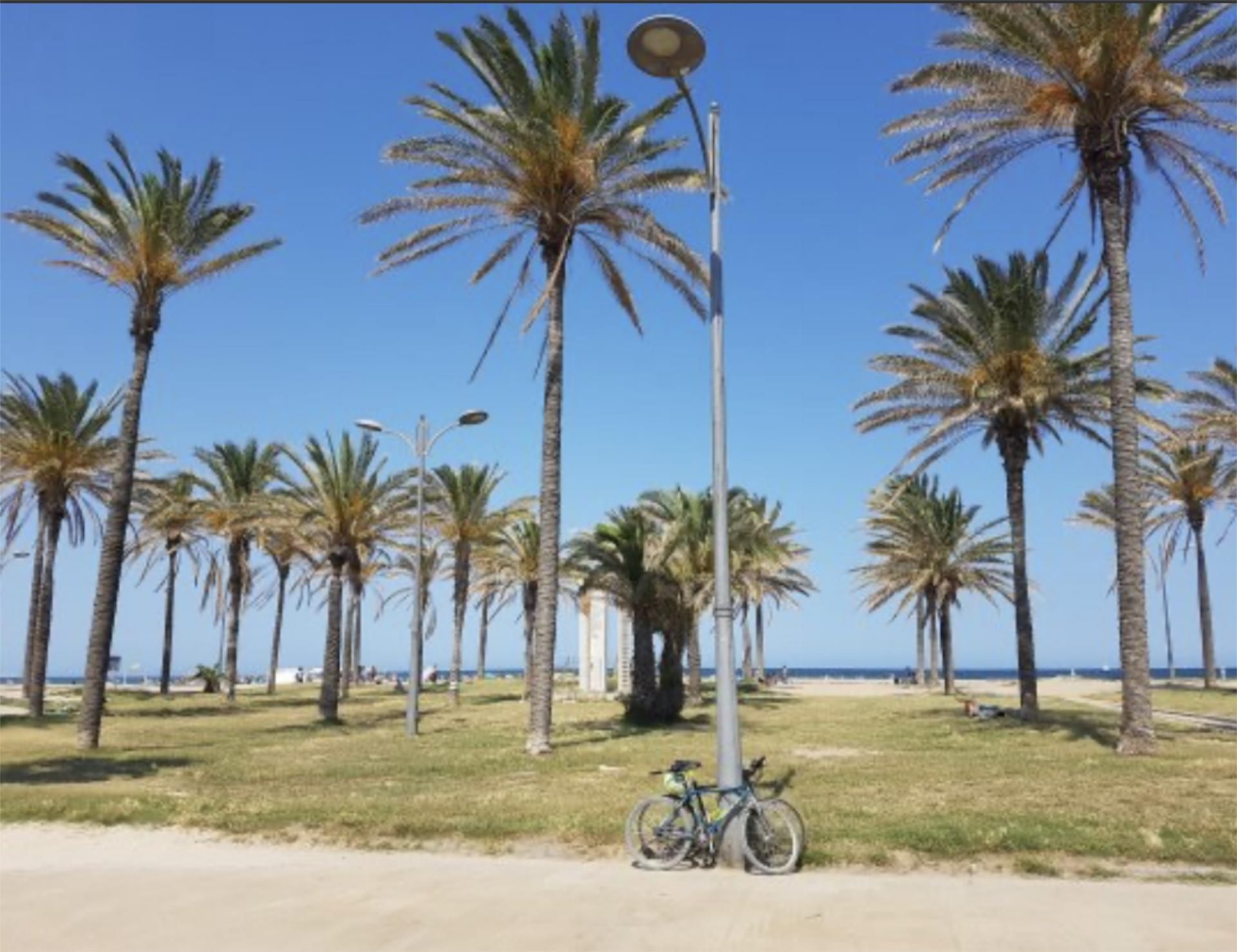 Piso en  Avinguda de la Malva-Rosa 66 - Foto 10