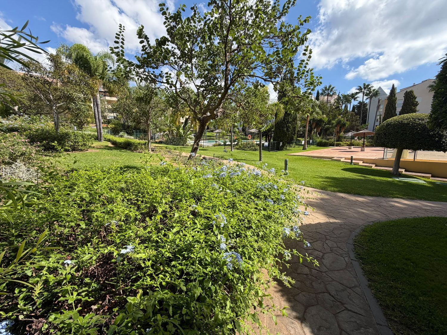Piso en Alameda de las Brisas, 6, Bahía de Marbella - Foto 27