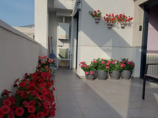 Dúplex en Avenida de La Rioja, 114 - Foto 12