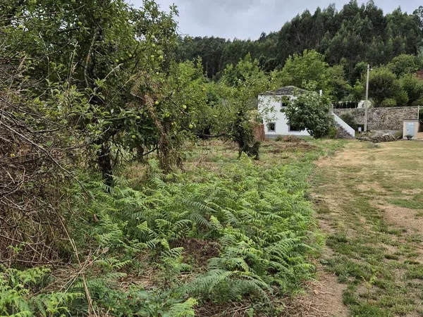 Casa rural en Lugar Pombal, 6 - Foto 20