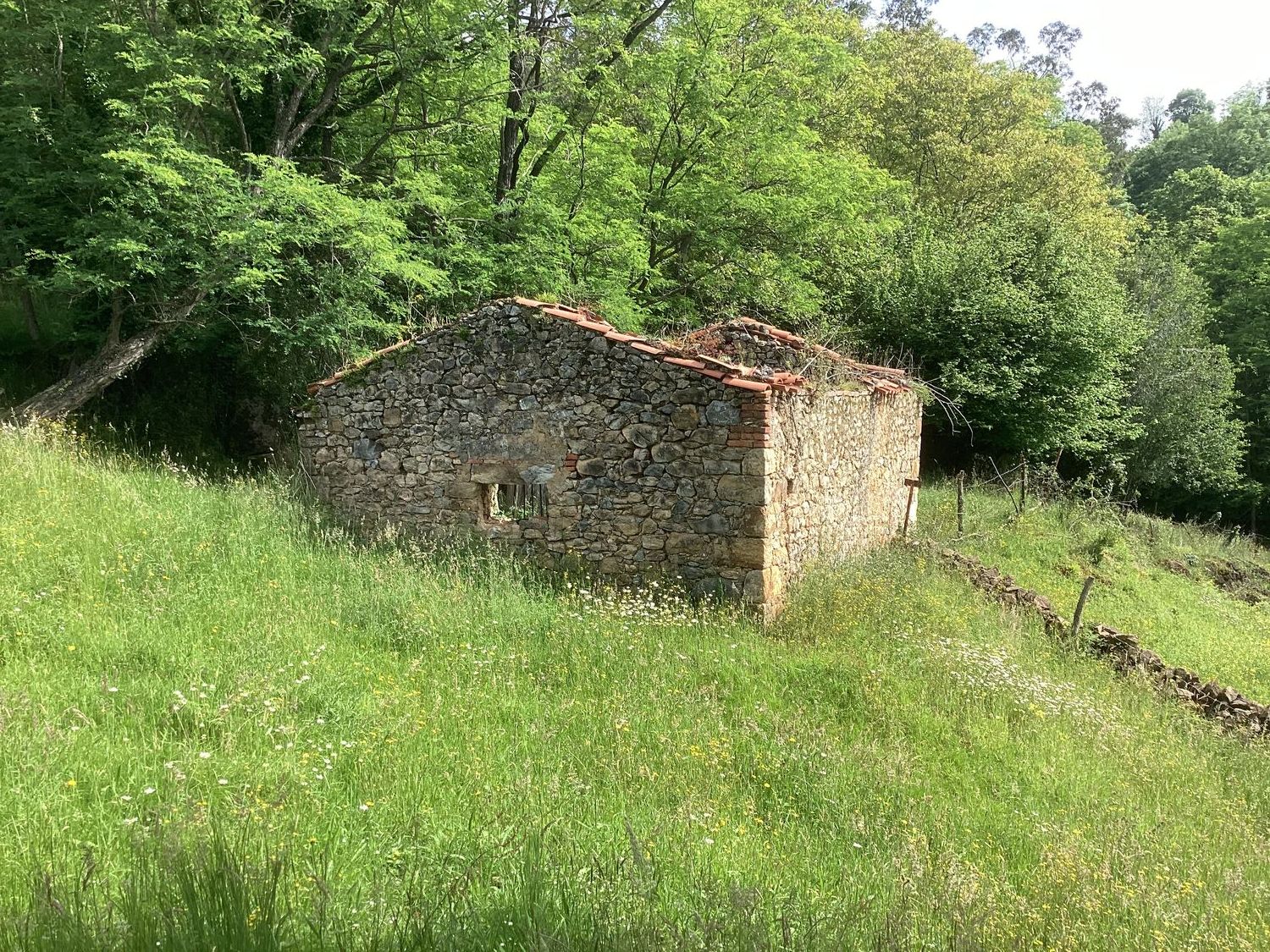 Casa rural en Avenida Alisas, 3 Km - Foto 15