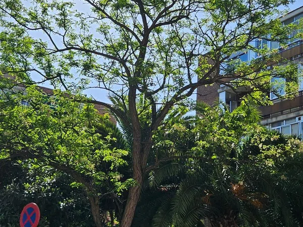 Piso en San Nicasio, San Nicasio - Foto 20